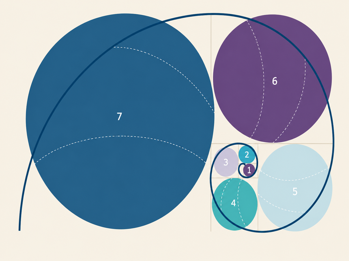Nautilus-Modell Visualisierung